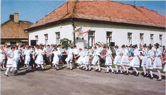 Az vda